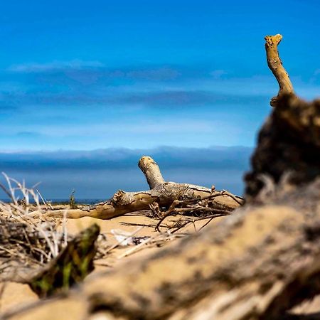 Shipwreck Lodge Mowebaai Eksteriør billede