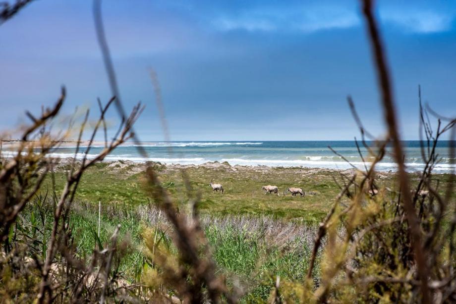 Shipwreck Lodge Mowebaai Eksteriør billede