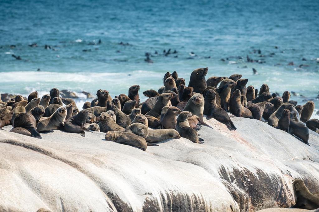 Shipwreck Lodge Mowebaai Eksteriør billede